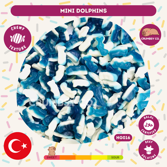 Mini Dolphins